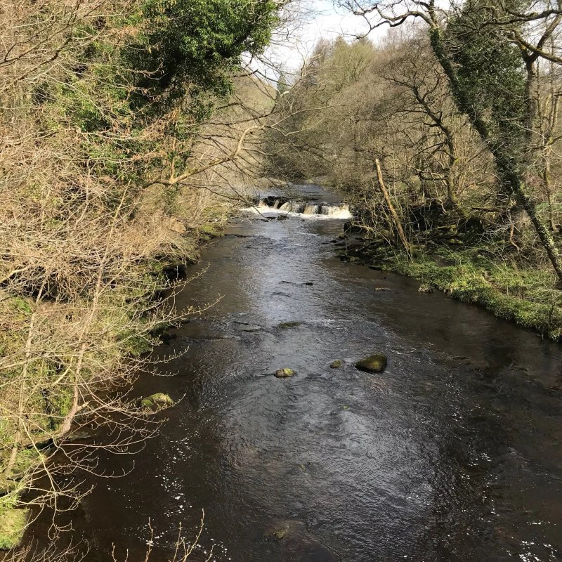 Castleton Caravan and Motorhome Club Campsite