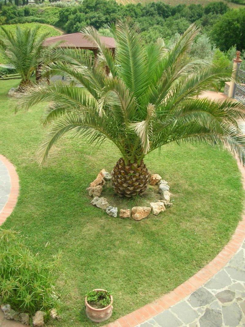 Agriturismo Villa Vacanze Manetti