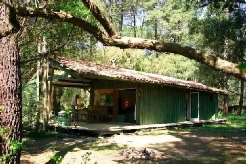 Promo juillet Wooden house in the heart of the Landes forest near Lac d'Hossegor