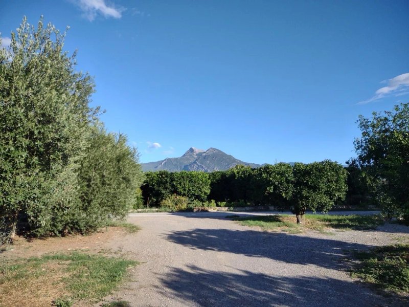 La Corte dei Cavalli