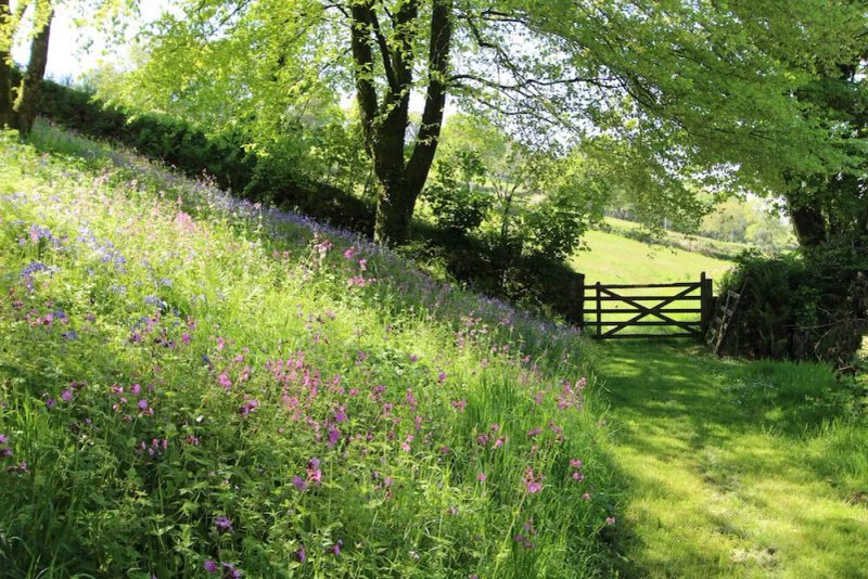 Walkham Valley Cottages