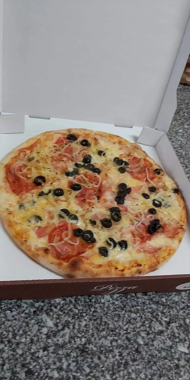 Gastrofilo