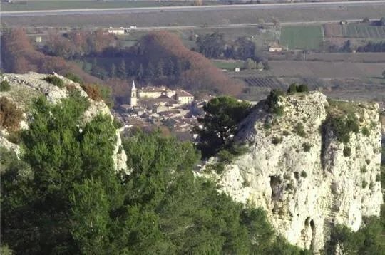 Le petit Figuier