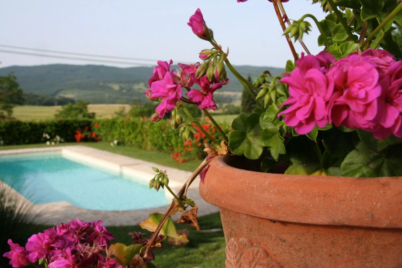 Gigliola House (Villa Gigliola- Giglio)