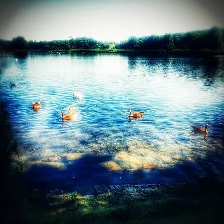 Seven Lochs Wetland Park