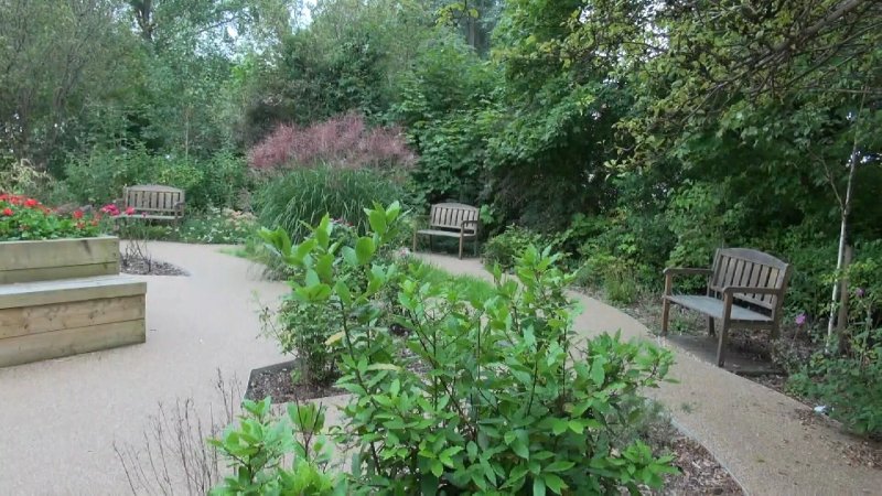 Nurture Our Nature Pollinator & Sensory Garden