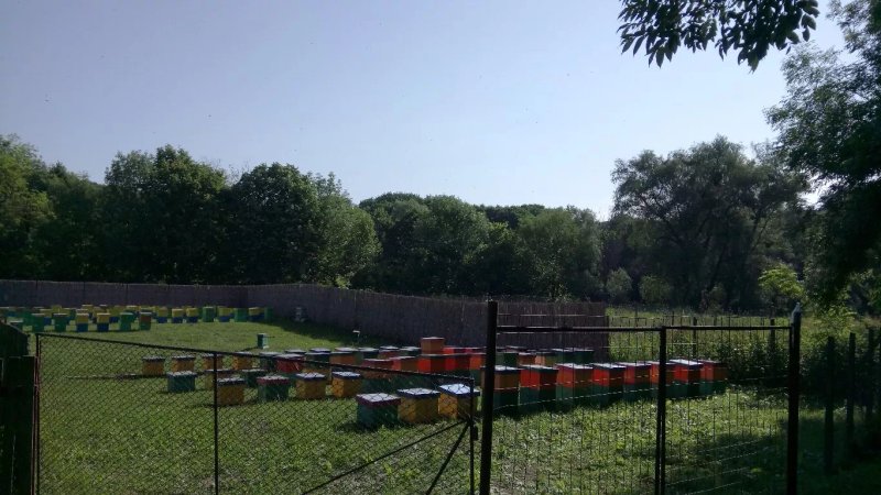 Agropensiunea Cetatuia