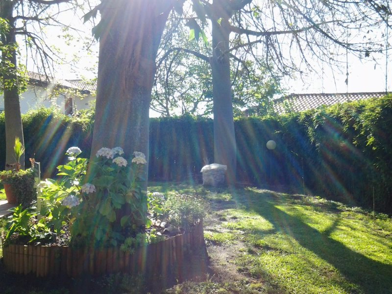 I Rustici B&B