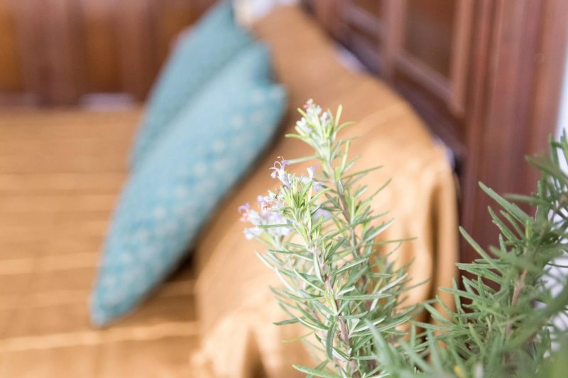 Boutique house LujoPobre