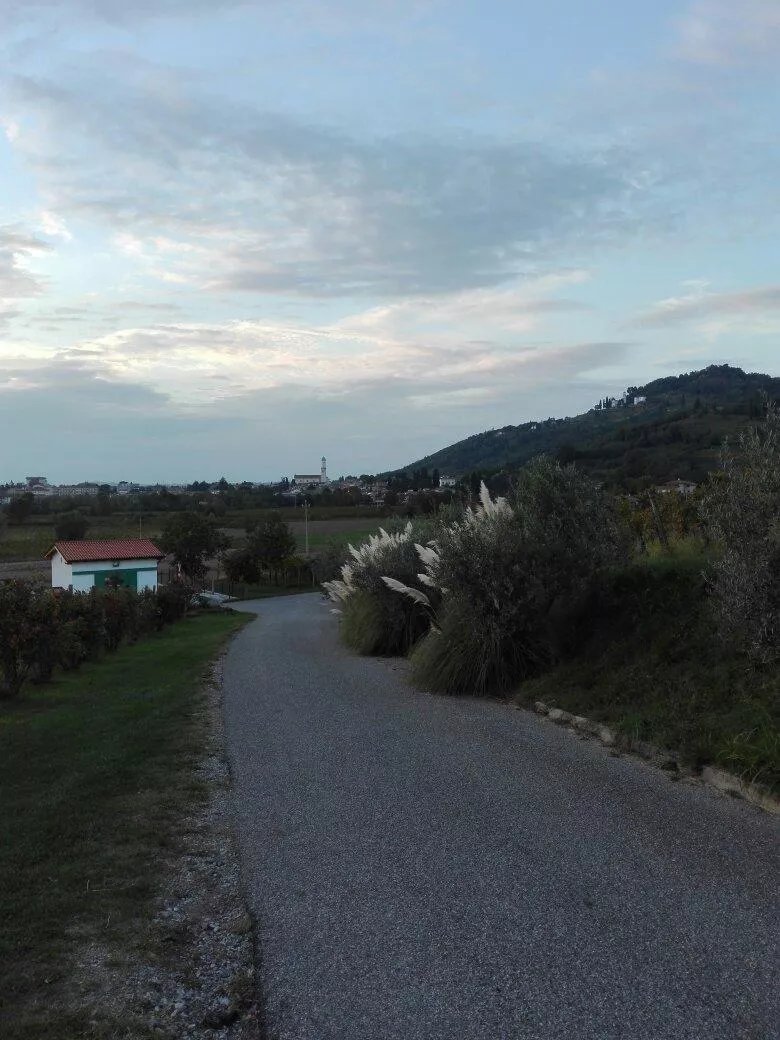 Il Gallo Rosso