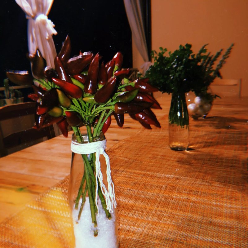 B&B Il Giardino Di Alice