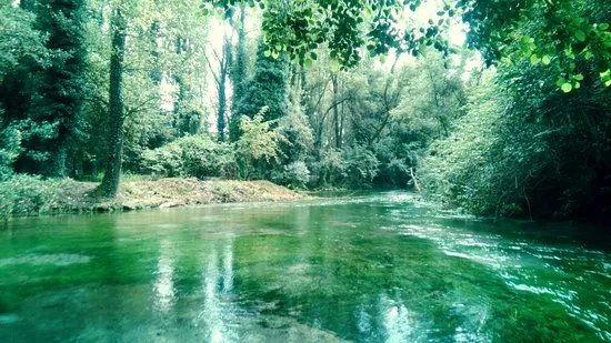 Terme Varroniane