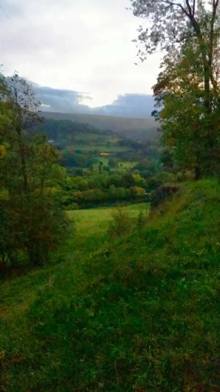 Ty Canol Caravan Park