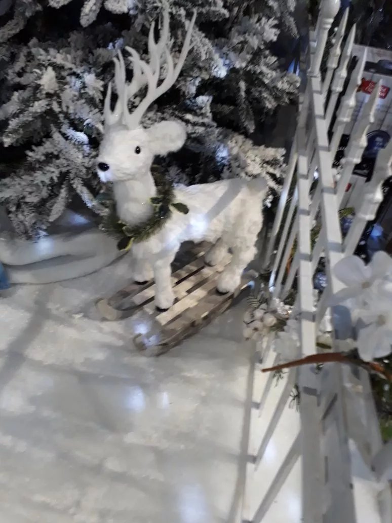 Whitehall Garden Centre