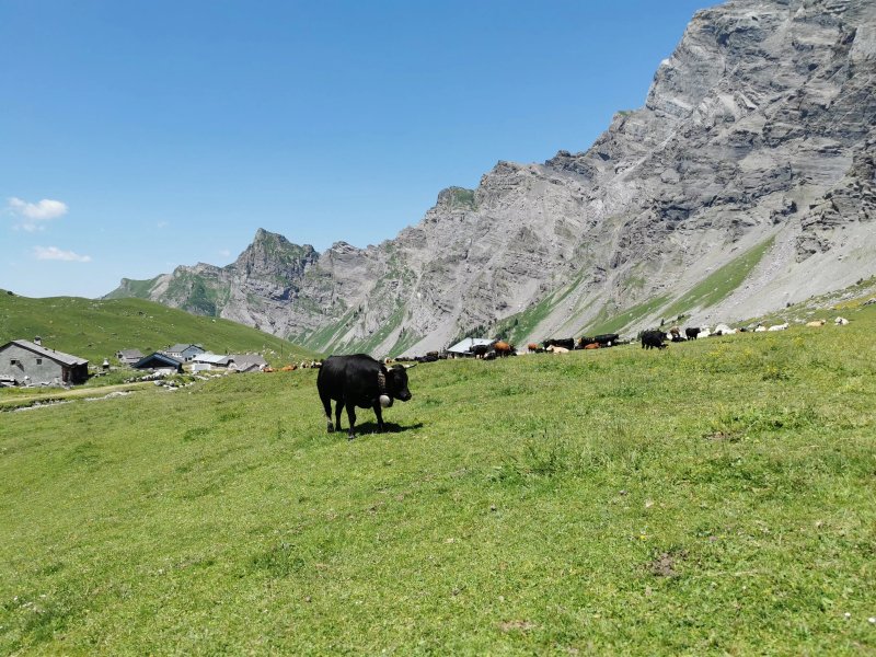 Refuge Giacomini