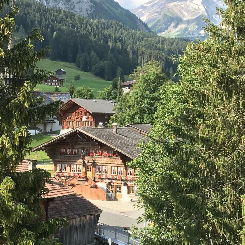 Hotel Restaurant du Sanetsch