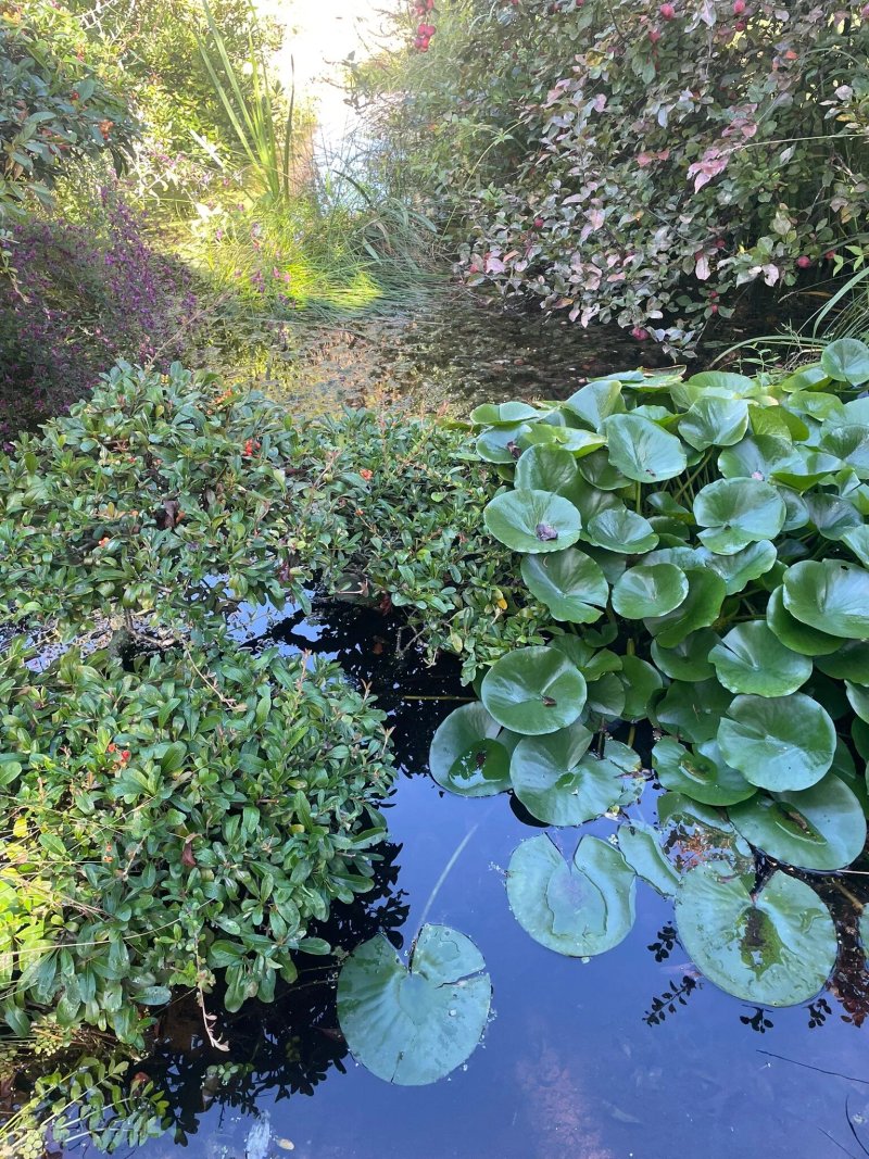 Jardin Du Riollet