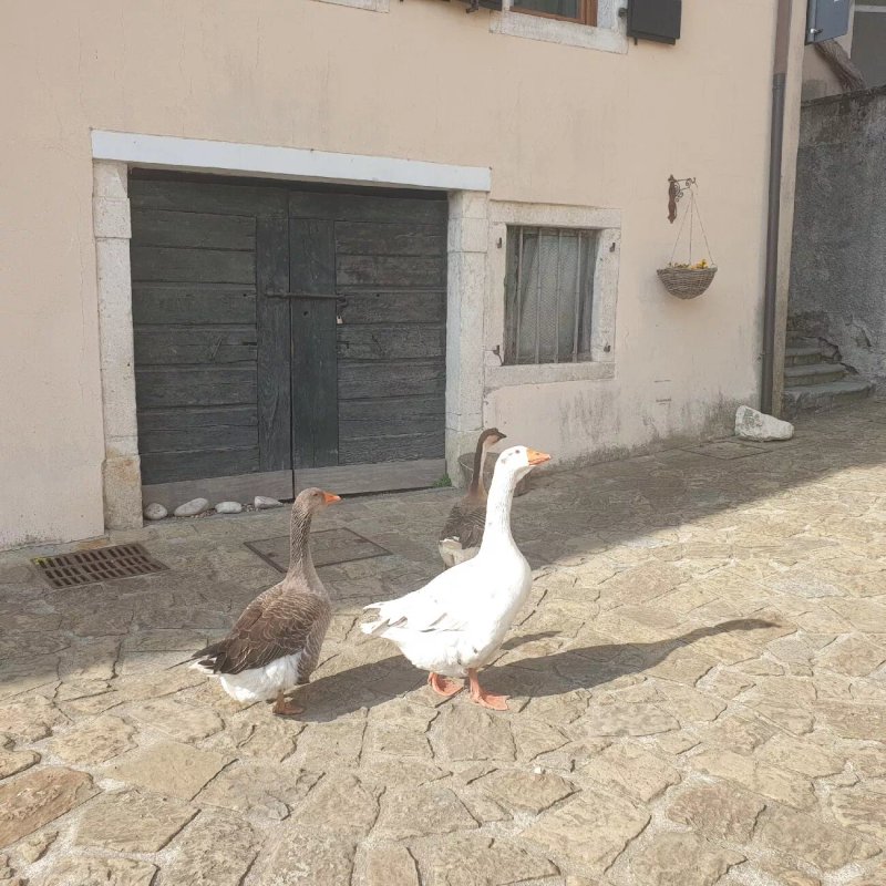 Osteria Poffabro - Le Monde -