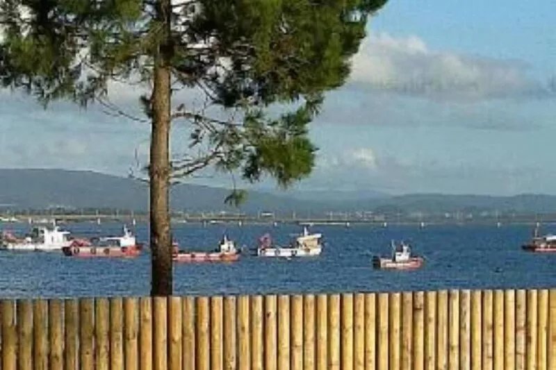 Beautifull apartment of see and beach in the paradisiac Arousa island (WIFI)