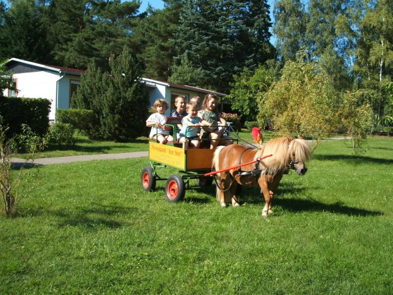 Ferienpark Heidenholz