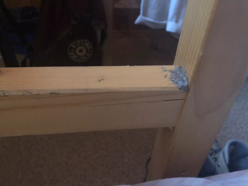 Schronisko PTTK im. Wladyslawa Orkana na Turbaczu