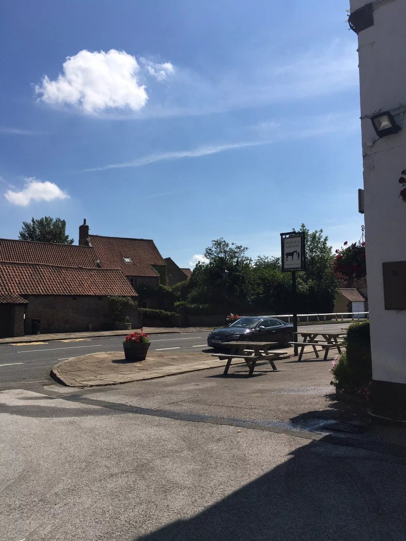 Horse And Groom