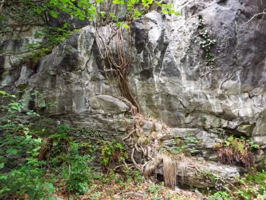 Riserva Naturale Incisioni Rupestri di Ceto Cimbergo e Paspardo