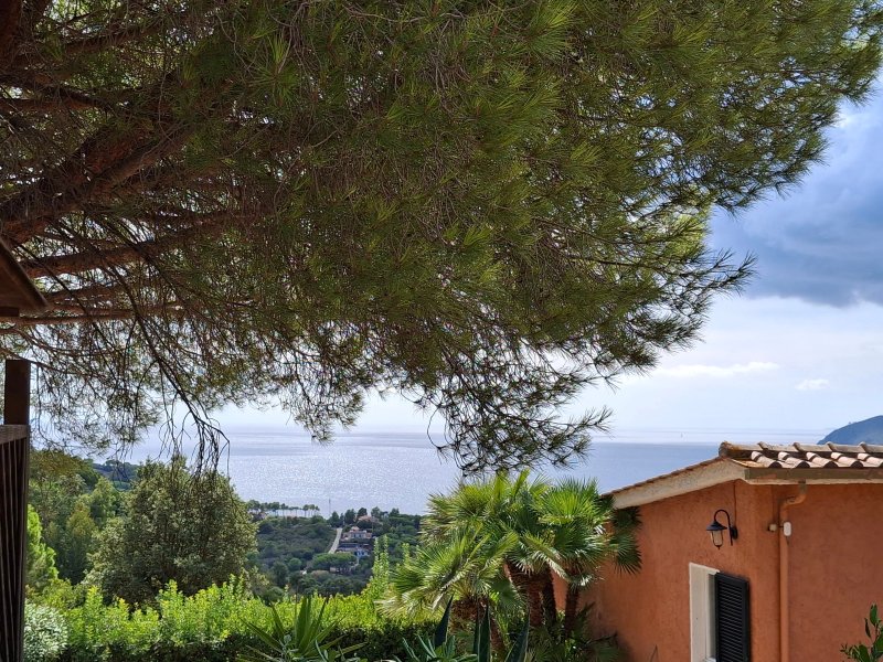 Ca' La Stella Sea-view Apartments