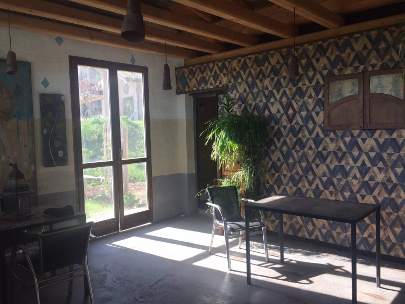 B&B Asinochevola