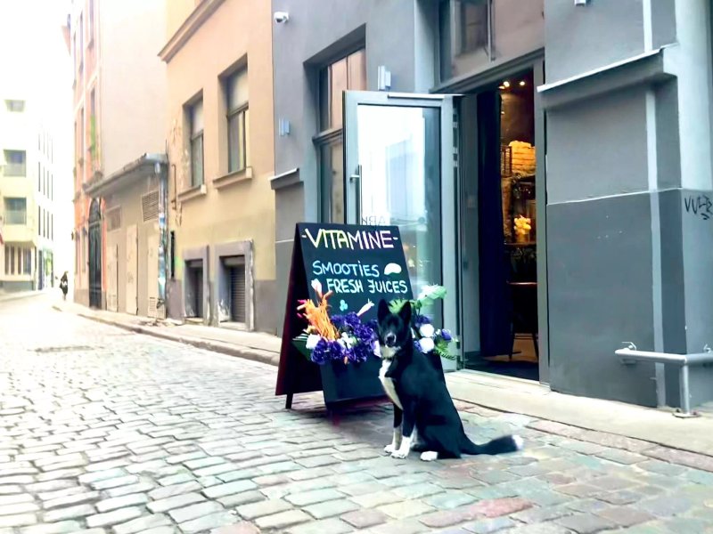 Vitamine Bar