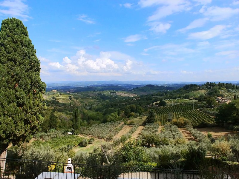 Fattoria Poggio Alloro