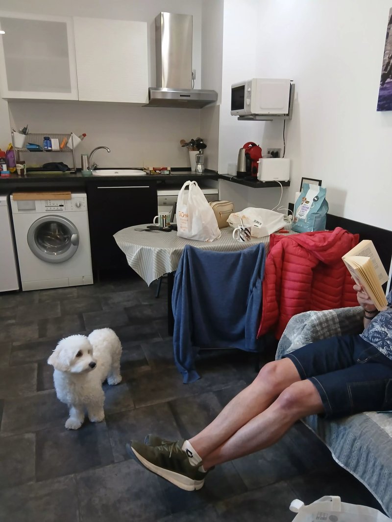 ASV Apartments