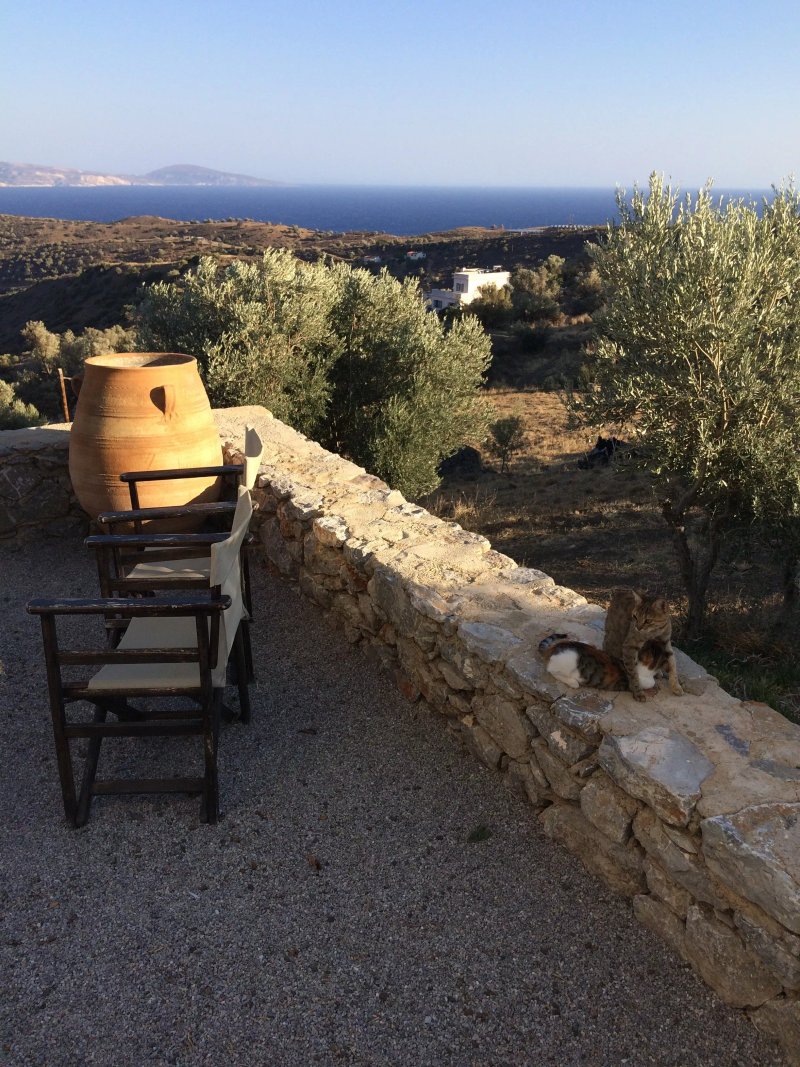 Evgoro Luxury Suites