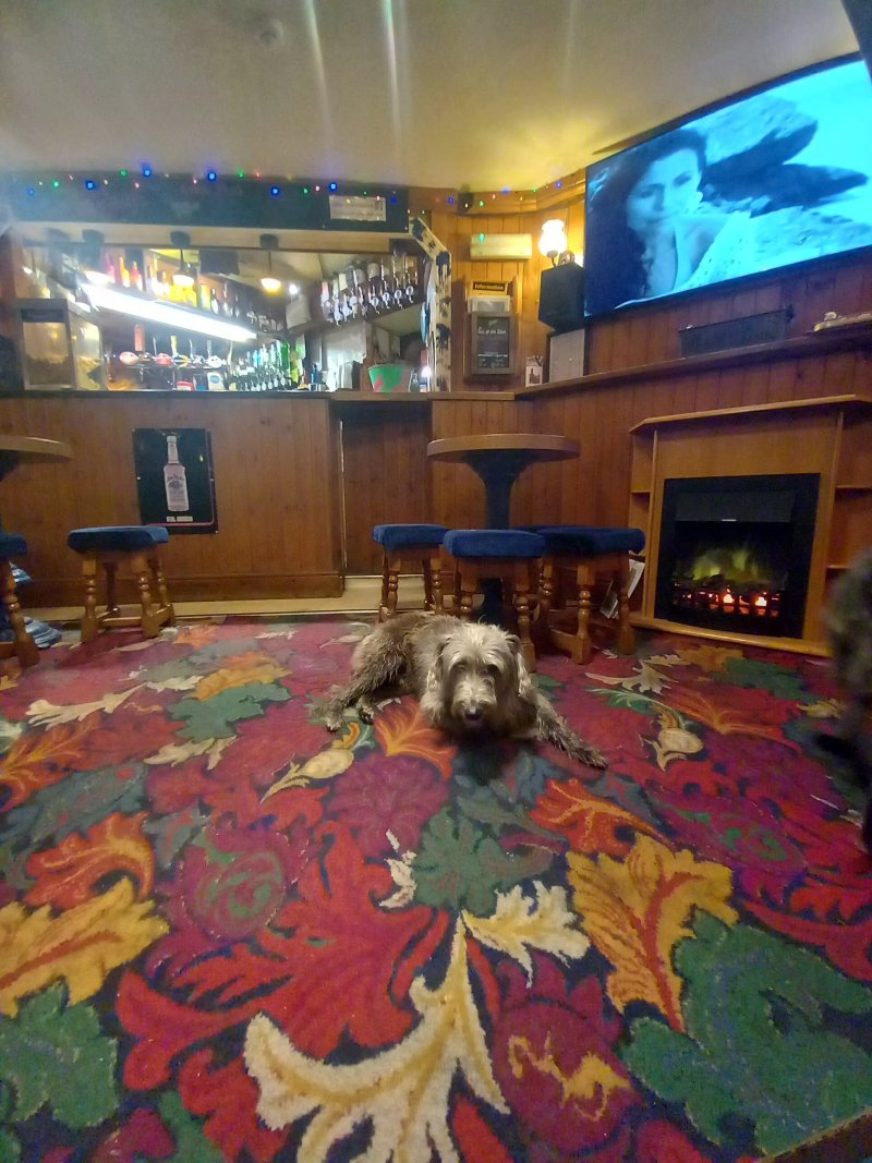 Marine Hotel