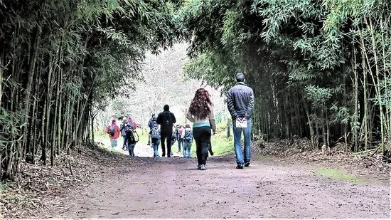 Azores GreenMark - Feel the Azorean Nature