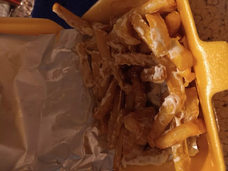 Papa's Fast Food