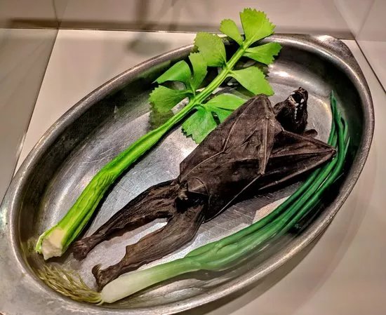 Disgusting Food Museum