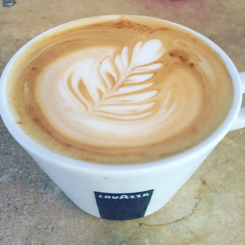 Synergy Cafe