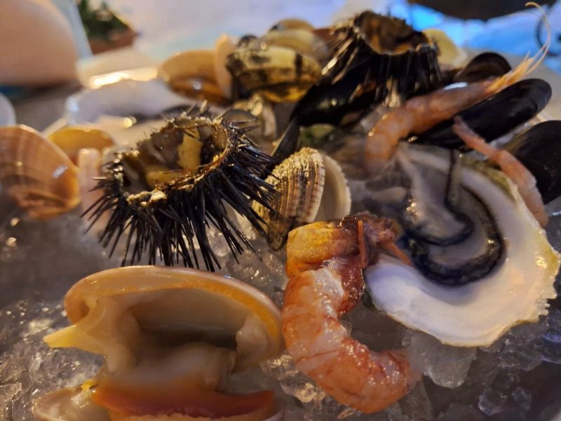 Calamariba