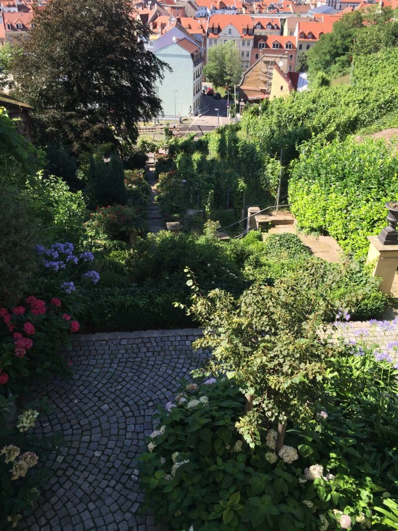 Rebenhaus Meissen