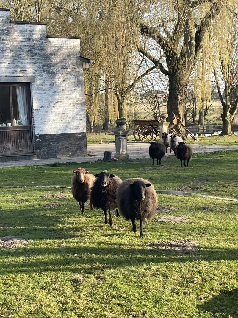 Le Domaine Du Château Blanc