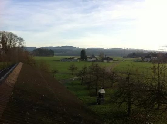 Hinterschoren