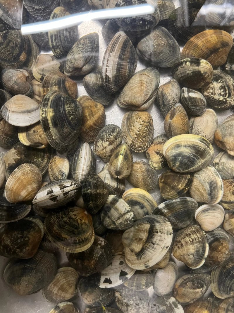 Vecchia Cantina Bistrot Di Samuele Guidi