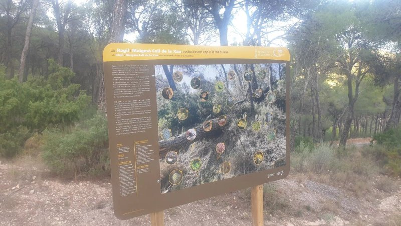 Sierra del Maigmo