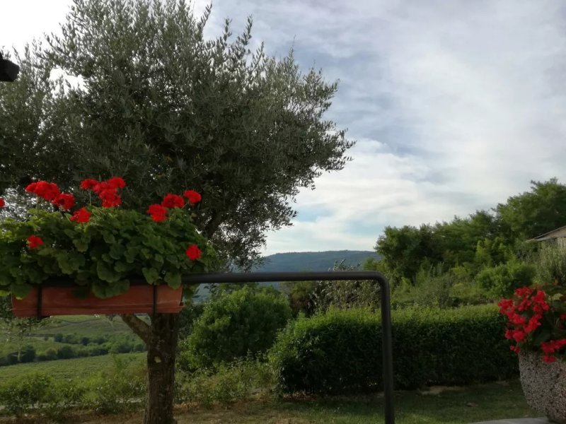 Guest House Nena