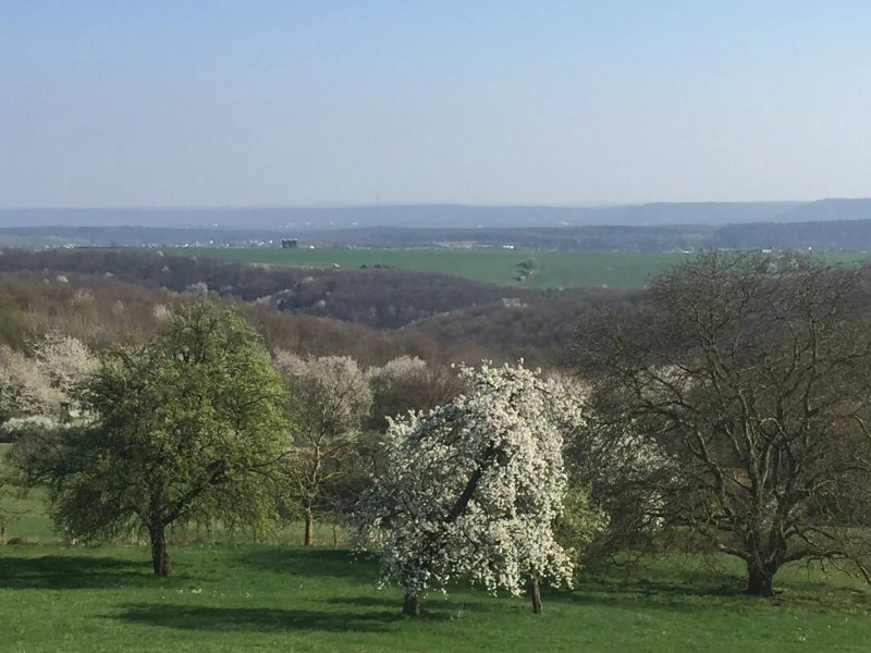 Panorama-Gasthof Stemler