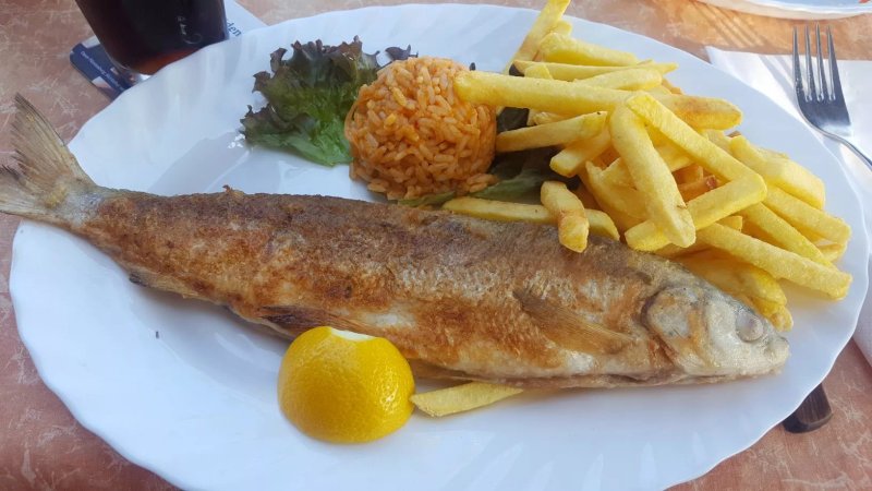 Hotel Kreta