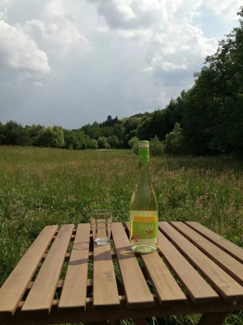 Ninszianna Vendeghaz