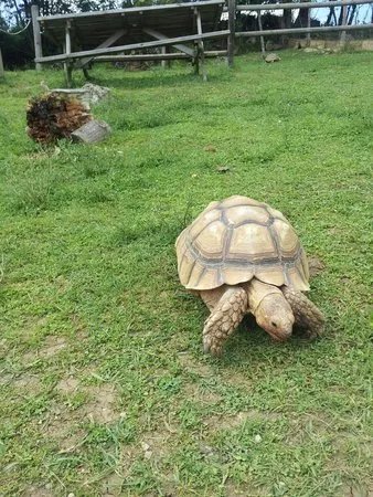 Ferme des Reptiles
