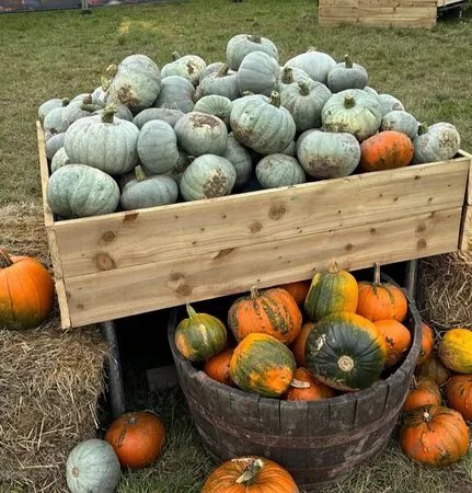 Halloween Farm